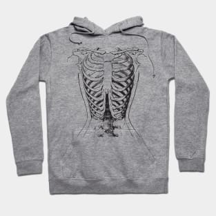 Anatomy bones Hoodie